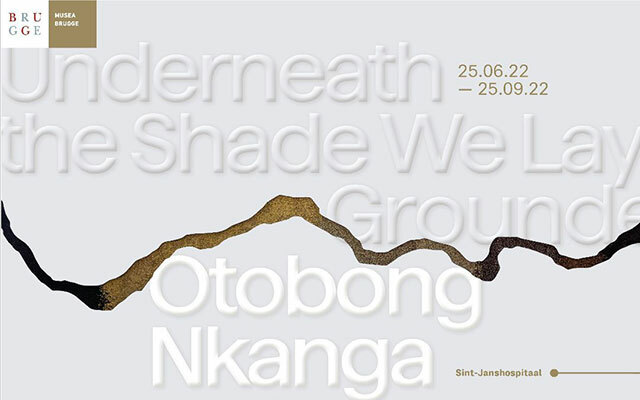 'Underneath the Shade We Lay Grounded' - Otobong Nkanga