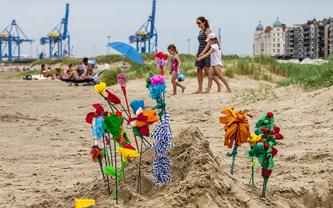 Strandbloemen (Flores de papel en la playa)