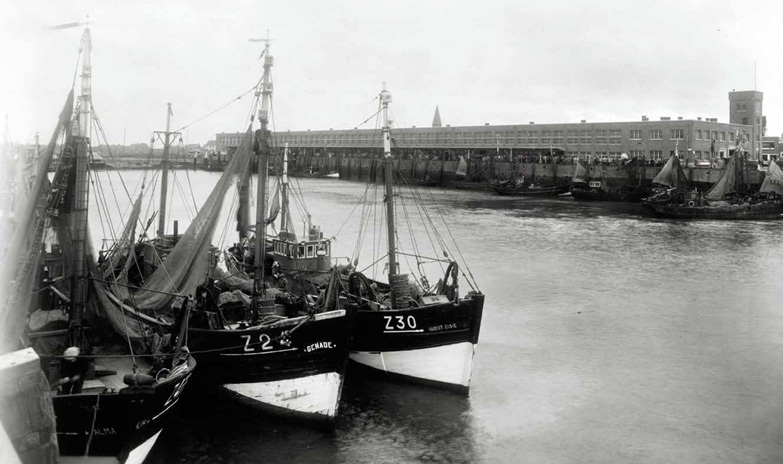 De visserhaven en de nieuwe vismijn, 1953 