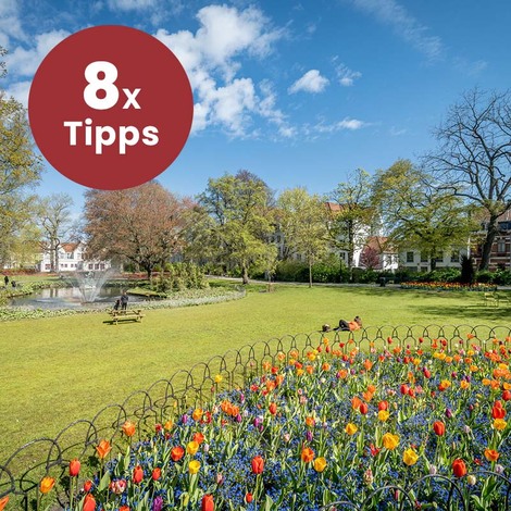 8 x Frühling in Brügge